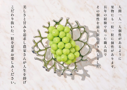 甲州市産 たっぷり粒詰めブドウMIX（シャインマスカット×ピオーネ）約1kg 自然農法 【2024年発送】（BNC）B15-490