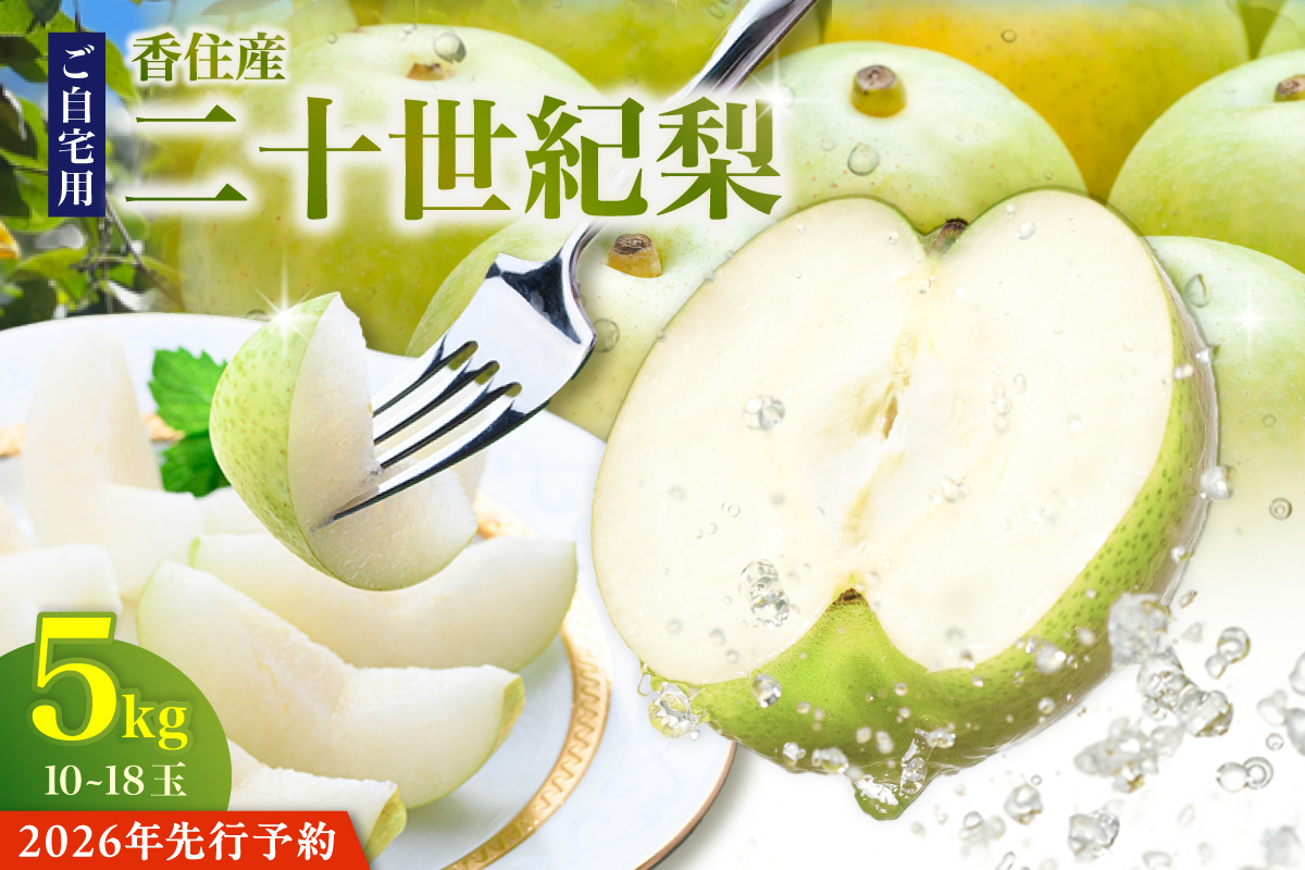 2026年産 先行予約【20世紀梨 ご自宅用 5kg サイズ L～5L混合（10～18玉）】8月下旬～9月中旬にかけて発送予定 ご自宅用  二十世紀梨 シャキシャキ 甘味 瑞々しさ 香住梨 フルーツ フルーツ先行予約 果物 なし ナシ 和梨 青梨 大人気 おすすめ ランキング 兵庫県 香美町 香住 JAたじま 12000円 12-20