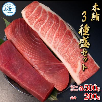 ふるさと納税 土佐市 本鮪　大トロ・中トロ 各500g・赤身200g　まぐろ3種盛セット