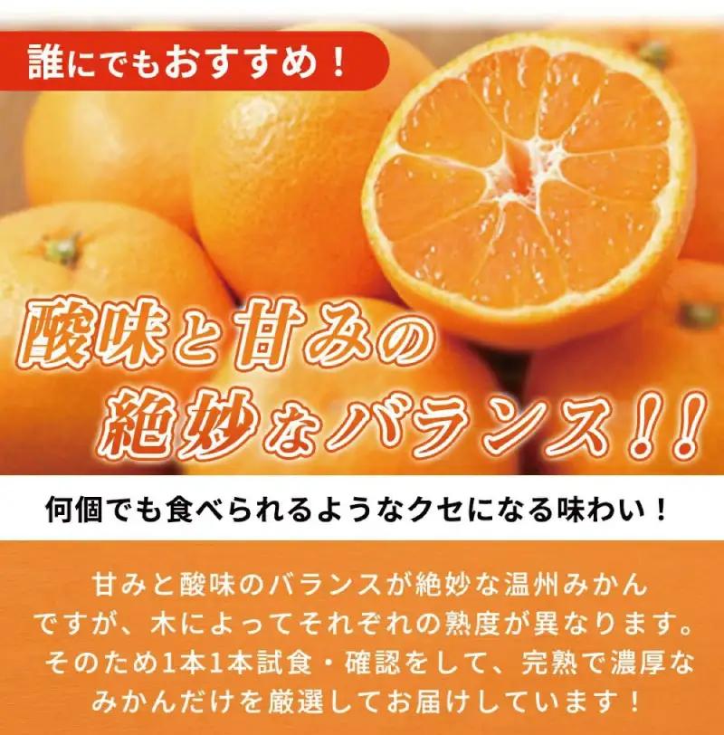 【先行予約】紀州有田産 濃厚完熟 温州みかん 5kg ※2026年11月下旬～2027年1月下旬頃に順次発送予定 【uot006】