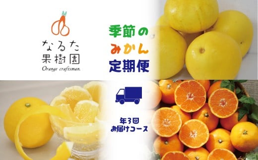 
            【定期便3回】なるた果樹園 みかん 定期便 C 土佐文旦  小夏 温州みかん ぶんたん 文旦 果物 フルーツ 3回 季節 高知 宿毛 ジャム マーマレード
          