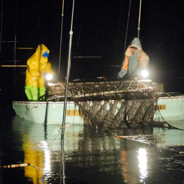 【全3回定期便】上質な高級焼きのり 全形金5帖（全形10枚分×5）焼き海苔 海苔 やきのり [FCO007]