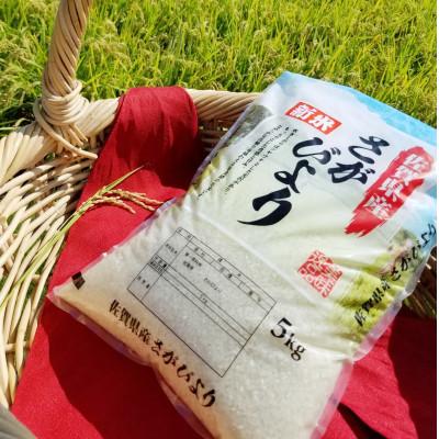 ふるさと納税 鹿島市 【精米したて!】令和7年産 さがびより 10kg(5kg×2袋) |  | 02