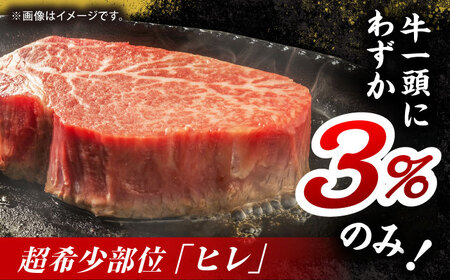くまもと黒毛和牛 ヒレステーキ 計750g（5枚）【馬刺しの郷 民守】 熊本県産 九州産 和牛ヒレステーキ  [ZBL024]