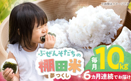 【全6回定期便】 求菩提米　夢つくし　10kg (5kg×2袋)《豊前市》【アグリネックス】米 お米 白米[VCO010]