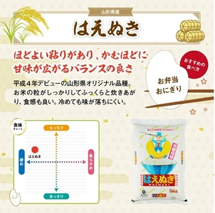 SU0020　【12回定期便】［精米］はえぬき　5kg×12回(計60kg) TO