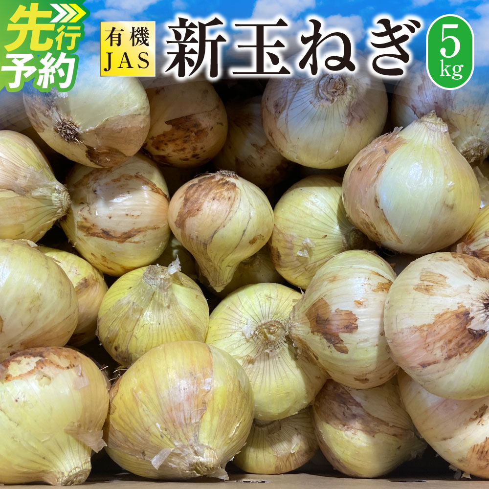 【ふるさと納税】【先行受付】有機JAS 新玉ねぎ 5kg 野菜 やさい たまねぎ 玉ねぎ 玉葱 熊本県 上天草市 送料無料 【2027年3月上旬から4月上旬発送予定】