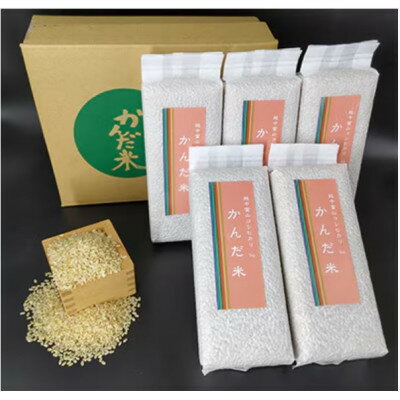 【ふるさと納税】【毎月定期便】鮮度の米　かんだ米『コシヒカリ』玄米　真空パック　1kg×5袋全6回【4053221】