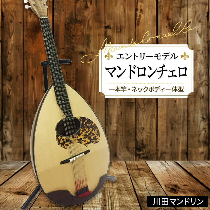 【ふるさと納税】【エントリーモデル】マンドロンチェロ [No.292] ／ 楽器 弦楽器 送料無料 岐阜県
