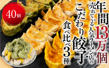 餃子 人気餃子3種を詰め合わせ！ぎふ夢餃子ミックス 40個 冷凍 餃子  [mt1581] 