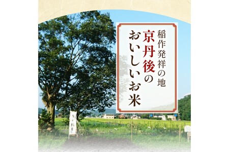【6ヶ月定期便】2025年産 京都・京丹後峰山 特別栽培米コシヒカリ 3kg 【玄米】 1等米 検査済証付