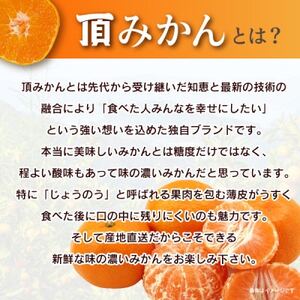 三代目の頂みかんTHEプレミアム【小玉サイズ】2kg【A31-51】【1615103】