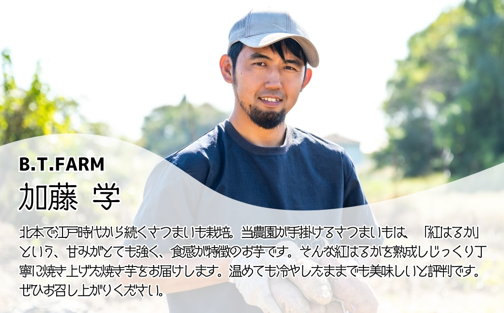 冷凍焼き芋 紅はるか 3パック(1.5kg) | 焼き芋 焼きいも さつまいも サツマイモ 冷凍 さつま芋 ねっとり 蜜 熟成 しっとり 真空パック べにはるか おやつ 健康 朝食 腸活 ダイエット 