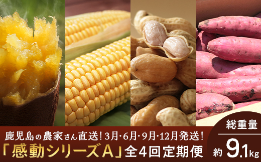 定期便 年4回 農家の感動シリーズA ( 冷凍焼き芋 ゴールドラッシュ 塩茹で落花生  紅はるか )