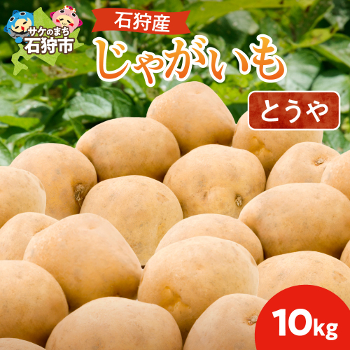 石狩産 じゃがいも（とうや） 10kg【9月発送】｜野菜 いも 北海道 石狩市