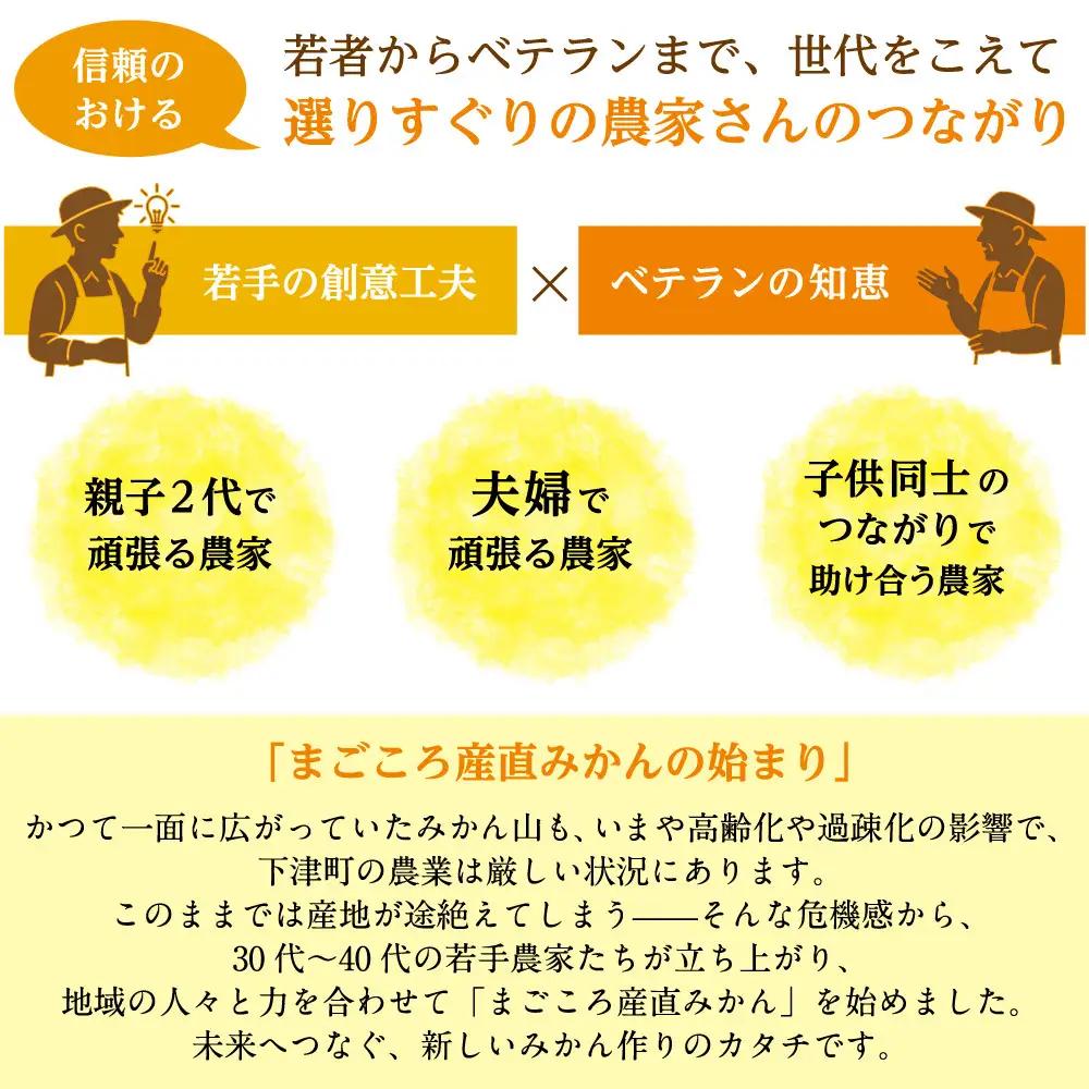 訳あり 早生みかん 6.5kg みかん