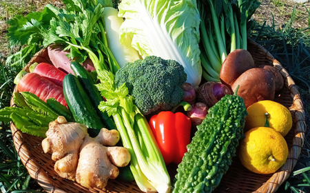 【6回定期便】高知県産 土佐季節の野菜詰め合せセット/隔月 2ヵ月に1回 野菜 定期 お野菜 高知 やさい 季節もの 【香稜苑】[ATBQ011]