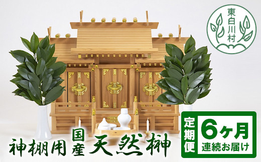 【6ヵ月連続お届け定期便】 神棚用 国産榊 さかき 2束 全6回 お供え お祀り 国産 天然 新鮮 長持ち 天然榊 26000円