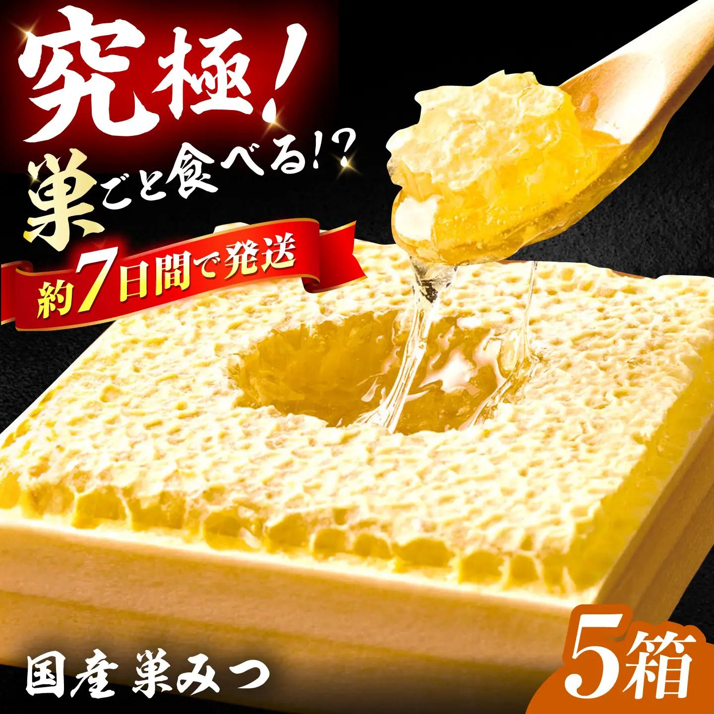 国産巣みつ 300g×5箱　広川町/株式会社九州蜂の子本舗[AFAI049]