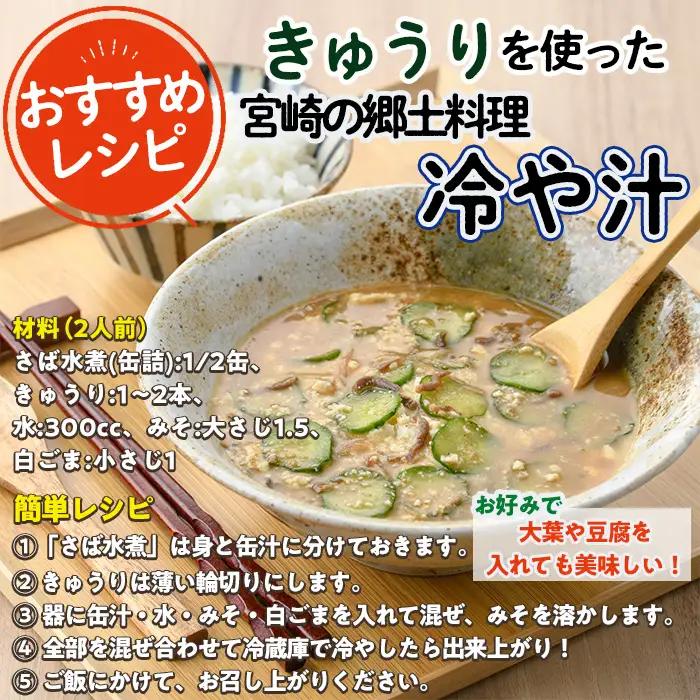 ＜数量限定・期間限定＞高千穂地区高冷地野菜詰め合わせ(5種) やさい きゅうり ピーマン トマト ミニトマト なす 茄子 冷蔵 季節 新鮮 旬 産地直送 【NK017】【宮崎県農業協同組合　高千穂地区