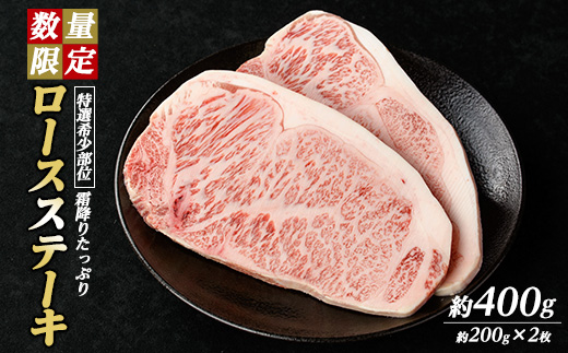 
                  ＜数量限定＞希少部位！和牛ロースステーキ(約400g・約200g×2P)【ナンチク】nanchiku-7254
                