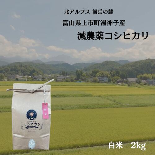 【ふるさと納税】【令和7年産】減農薬 上市町湯神子産コシヒカリ（白米）2kg　 [ソムリエH 富山県 上市町 32280234-r6-01] 　お米 コメ ご飯 ごはん こしひかり 富山県産