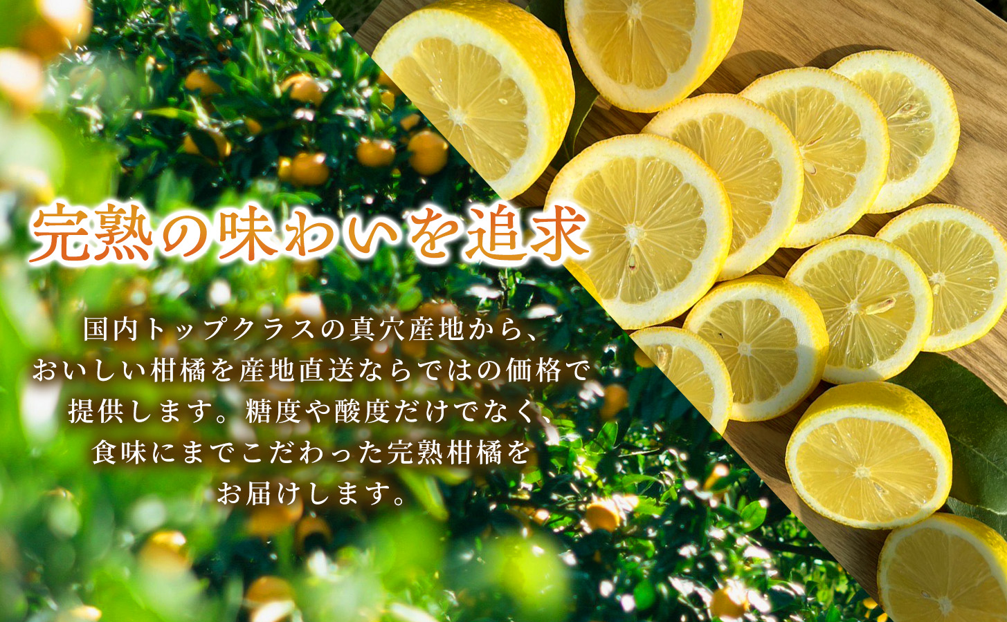 【定期便2ヶ月】【防腐剤・ワックス不使用で安心】真穴産地直送の国産レモン 瀬戸内レモン3kg サイズ2L大玉 1箱 全2回【98-29】YWTBU025