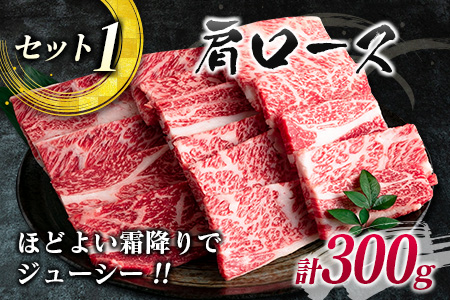 数量限定 宮崎牛 3種 お試し 焼肉 セット 合計900g_DC27-25