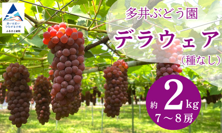 デラウェア 2026年先行予約 ぶどう （7房~8房）デラウェア
