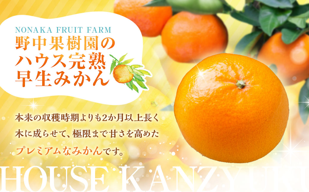 先行予約 ハウス完熟早生みかん お試し 約2.5kg箱 | 期間限定 フルーツ 果物 くだもの 柑橘 ミカン 野中果樹園 長崎県 長崎市 【2026年1月上旬～下旬迄発送予定】