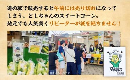 【先行予約】としちゃんのスイートコーン 約4kg(11-13本)[VBH001] コーン とうもろこし