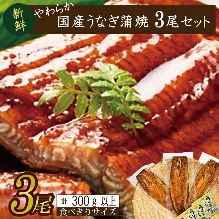 【ふるさと納税】やわらか国内産うなぎ蒲焼き！ 食べ切りサイズ100～120g 3尾　計300g以上|うなぎ 鰻 蒲焼 食べ切り 茨城県 行方市(AD-105-1)