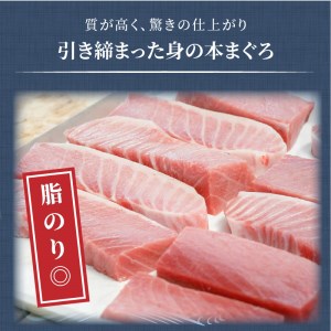 鷹島産本まぐろ 大トロ600g【D5-005】（マグロ まぐろ 本マグロ 本まぐろ 鮪 大トロ 冷凍 刺身 刺し身 海鮮 海の幸 魚 魚介 九州 長崎 松浦市）