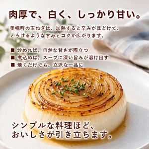 美幌産玉ねぎ Lサイズ 20kg 玉ねぎ
