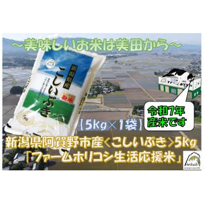 ふるさと納税 阿賀野市 【令和7年産新米】生活応援米「ファームホリコシ」 こしいぶき 5kg (5kg×1袋)