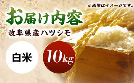 令和7年産 ハツシモ 白米 10kg 精米 米 ブランド米 岐阜市 / 川瀬ファーム[ANIB002]