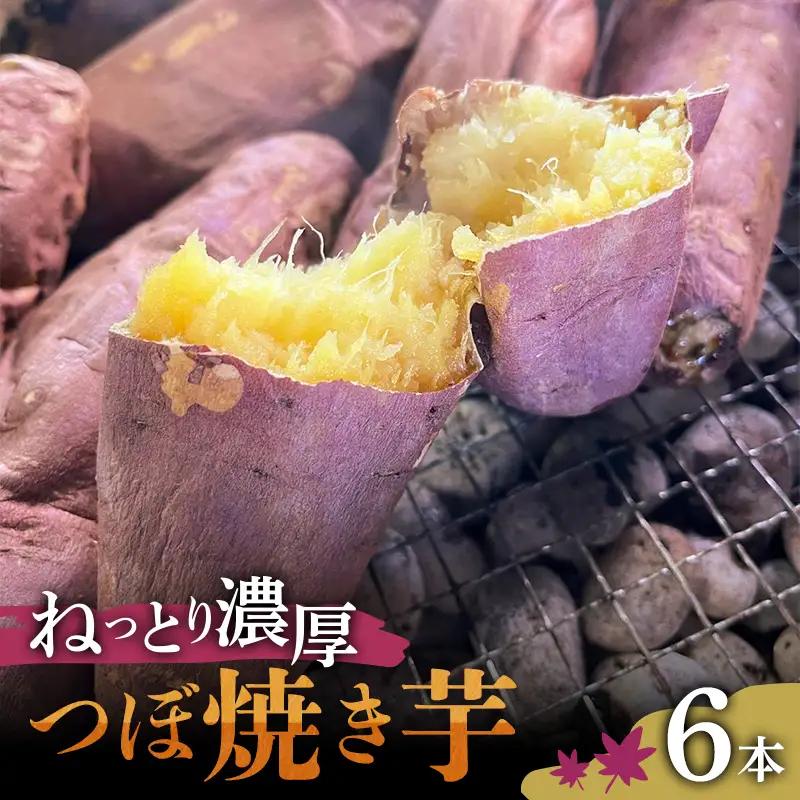 爆甘！甘みと風味が凝縮 ねっとり濃厚つぼ焼き芋 6本 やきいも おやつ デザート スイーツ 福島県 白河市 F25R-162