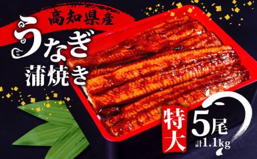 高知県産 うなぎ 蒲焼 220g×5尾 セット 養殖 鰻 うなぎ 蒲焼き かば焼き かばやき 惣菜 冷凍 真空パック 簡単調理 ME0072