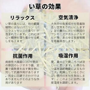 国産い草 掛川織ラグ 伊吹 グリーン 191×191