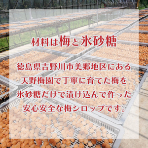 梅シロップ 275cc 2本 セット 美郷 梅 シロップ 梅 シロップ 梅 シロップ