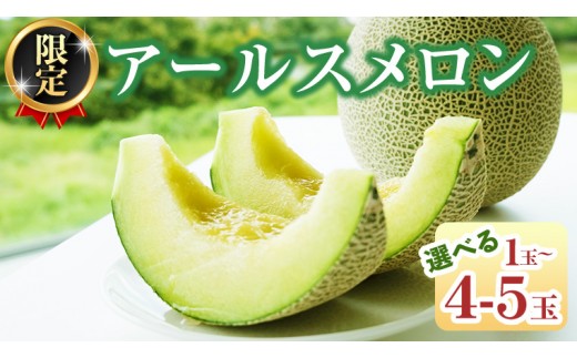 
                  《 2027年 収穫分 》 甘さ満点 アールスメロン 2玉 3玉 4～5玉 先行予約 KEK 国産 マスクメロン メロン 青肉メロン 贈答 贈り物 プレゼント ギフト 特産品 農家直送 産直 くだもの 果物 フルーツ 茨城県 桜川市 [BC045sa00]
                