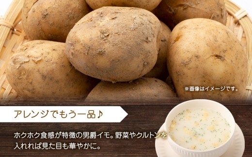 北海道男爵いもクリームスープ 3袋入×4箱 12食