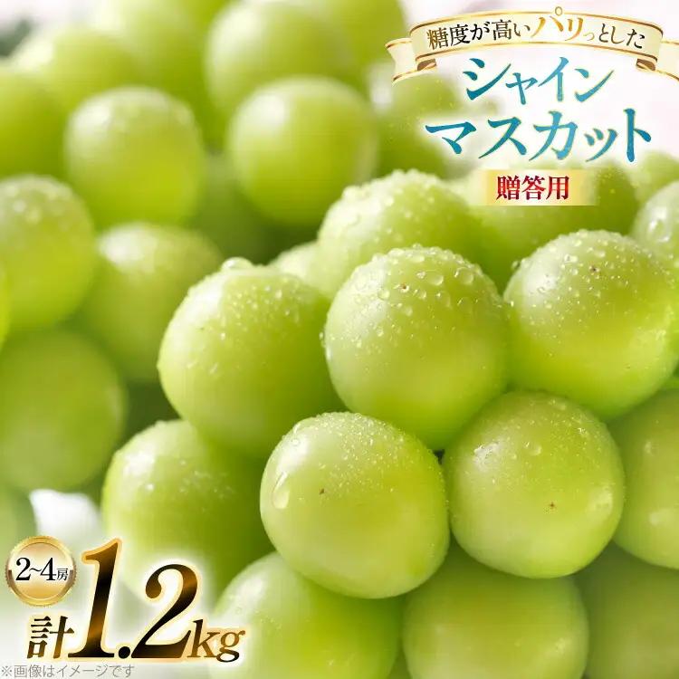 【期間限定発送】 シャインマスカット 贈答用 2～4房 1.2kg