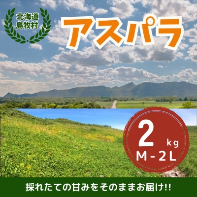 
                  ＜先行予約・5月より順次発送＞北海道島牧村産 アスパラガス 2kg(秀品) 坂下農園【1732811】
                