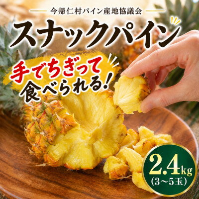 【ふるさと納税】【2026年5月中旬から順次発送】今帰仁村パイン産地協議会 スナックパイン2.4kg(3～5玉)【配送不可地域：離島】【1734538】
