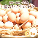 たまご 卵 30個 ( 26個 ＋ 割れ保障 4個 ) 産みたて 生たまご 新鮮 鮮度 抜群 下関 豊北 養鶏場 人気 返礼品 6000円 山口 ごはんのお供