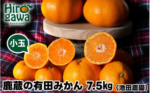鹿蔵の 有田 みかん 訳あり 小玉 7.5kg 光センサー 選果 / 温州みかん 有田みかん 甘い 家庭用 和歌山 柑橘 ※11月順次発送予定 ※北海道・沖縄・離島への配送不可 【ikd004-cs-7d5-novA】
