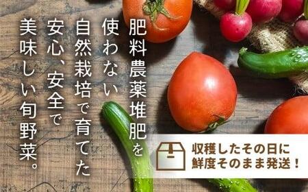 【数量限定】【2024年予約受付】【先行予約 7月から発送開始】 朝採れ 自然栽培 野菜セット 5～8種 トマト ナス キュウリ ゴーヤ オクラ ネギ ししとう 冬瓜半割 ジャガイモ 玉ねぎ など お