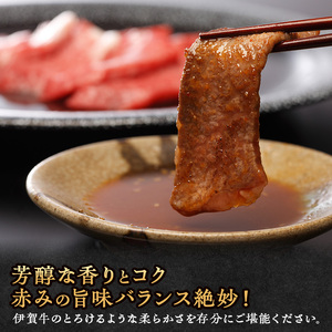 伊賀牛 BBQ セット 赤身 カルビ 800g 伊賀牛