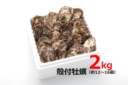 [2027年1月8日より発送！]オレの牡蠣 広島県大竹市産 殻付牡蠣 2kg 大容量 朝どれ [1805]